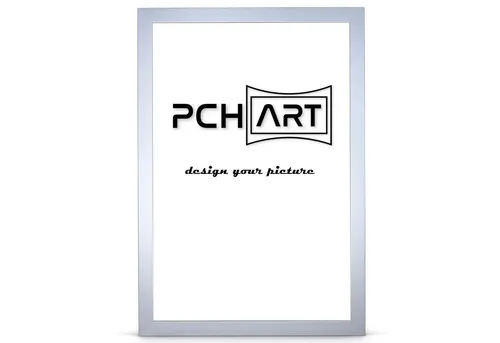 PCH[art] Bilderrahmen New Alaya in Alu Optik – 10x15 bis 90x120 cm - Stylischer Bilderrahmen für 1 Bild, gefertigt aus MDF mit Kunstglas. Ideal für Ihre Wand- oder Tischdekoration und perfekt für verschiedene Bildformate.