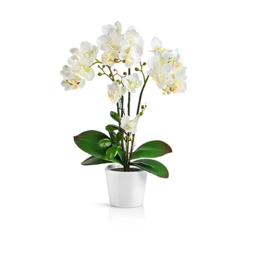 Kunstorchidee PASCH® - Künstliche Orchidee in Hochglanz-Keramiktopf (46cm) - Kunstorchideen für stilvolle Deko: Diese 46 cm hohe, realistische Orchidee im eleganten Hochglanz-Keramiktopf ist pflegeleicht und bringt dauerhaft frische Akzente in dein Zuhause.
