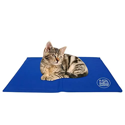 Bravpet Kühlmatte für Haustiere - Selbstkühlendes Pad für Hunde und Katzen (M) - Perfekte Kühlung für heiße Tage! Die Bravpet Kühlmatte ist langlebig, leicht zu reinigen und bietet Komfort für Ihr Haustier. Ideal für den Einsatz im Lieblingsbett, ganz ohne Wasser oder Strom.