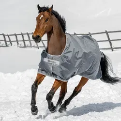 Bucas Smartex Turnout Extra Classic 300g - Iron Gate 170 cm - Reiten - Hochwertige Thermodecke für Pferde, bietet optimalen Kälteschutz und Komfort bei kaltem Wetter.