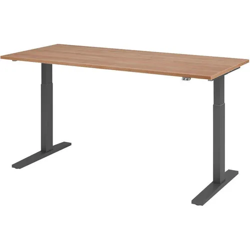 Hammerbacher Schreibtisch XMKA 19 - Elektrisch höhenverstellbar in Nussbaum/Graphit - Kinderschreibtisch mit elektrischem Antrieb, 2 Motoren und Memory-Schalter für individuelle Höhenanpassung. Ideal für ergonomisches Arbeiten und Spielvergnügen.