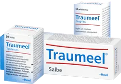 Traumeel S Tabl. + Creme 250 St