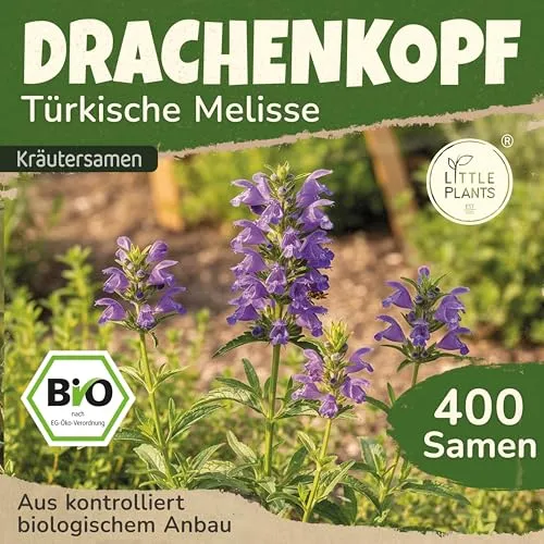 Little Plants BIO Drachenkopf Samen 80 Türkische Melissesamen Drachenkopfsamen Kräutersamen Samenfest für Kräutergarten Kräuter Samen für Balkon, Hochbeet und Garten