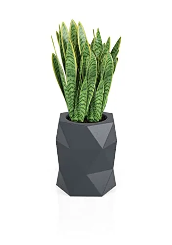 Forvega - Modena Blumentopf, Höhe 54 cm, Öffnungsweite 31 cm, mit Ablage, modernes Design, Top-Qualität, für den Innen- und Außenbereich, aus recycelten Materialien, anthrazit