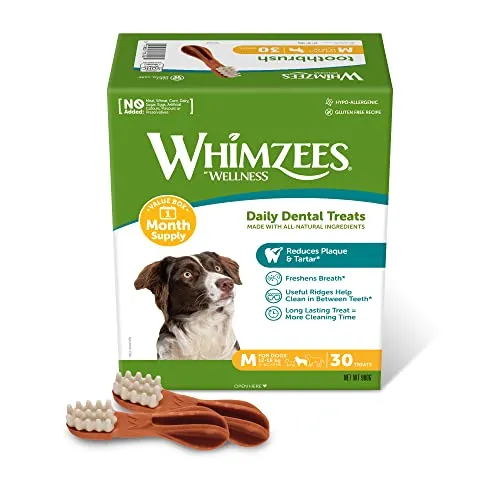 WHIMZEES Zahnbürste M, Monatspackung, 30 Stück – Größe M, Kaustangen für mittelgroße Hunde zur Zahnpflege, Getreidefrei, Natürlich, ohne Zuckerzusatz