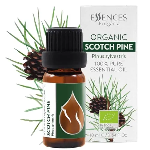 Essences Bulgaria BIO Ätherisches Waldkiefer Öl 10ml | Pinus sylvestris | 100% Naturrein | Unverdünnt | BIO-zertifiziert | Spitzenqualität aus Familienbetrieb | Ohne Gentechnik | Vegan