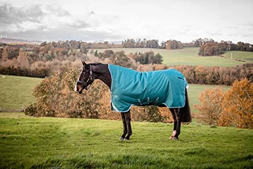 Horseware Amigo Bravo 12 Wug Turnout 0g Light Highneck - Grün 145 cm - Robuste Weidedecke aus 1200D Polyester, wasserdicht und atmungsaktiv. Hoher Halsschnitt für optimalen Tragekomfort und gute Sichtbarkeit durch Reflektorstreifen. Ideal für Übergangszeiten und Sommer.