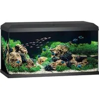 Juwel Aquarium Primo 110 LED 2.0 - Sonstiges Aquarienzubehör mit moderner LED-Beleuchtung und effizientem Bioflow Super Filter für einen perfekten Einstieg in die Aquaristik.