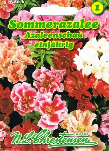 Sommerazalee Azaleenschau , einjährig, gefülltblühend, erstklassige Mischung 'Godetia grandiflora' Azalee