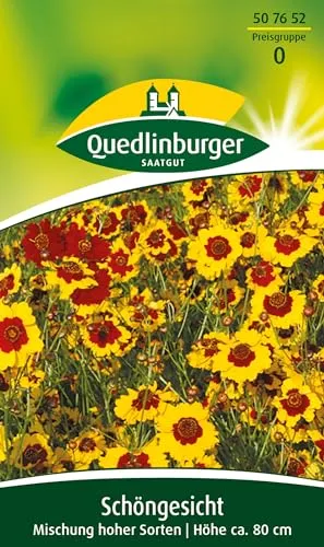 Schöngesicht, Coreopsis tinctoria, ca. 500 Samen