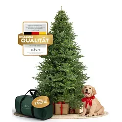 Håvn ® 100 % Spritzguss Künstlicher Weihnachtsbaum 210 cm – Pflegeleichter Premium Baum mit realistischem Stamm - Künstliche Weihnachtsbäume: Täuschend echte Optik mit 100 % Spritzguss, pflegeleicht und langlebig – der perfekte Blickfang für ein festliches Zuhause!