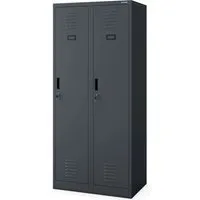 Stahlspind Garderobenschrank 2 Abteile - Anthrazit - Robuster Kleiderspind mit 2 Abteilen und Trennwand für saubere und schmutzige Kleidung. Ideal für den Einsatz in Werkstätten und Umkleideräumen. Stabil und platzsparend für optimale Organisation.
