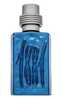 Cerruti 1881 Eau de Parfum Homme Silver Night - Eau de Parfum für Männer, vereint edle Hölzer und natürliche Essenzen für einen würzig-frischen Duft, perfekt für besondere Anlässe.