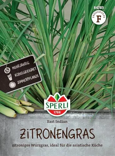 Sperli Zitronengrassamen East Indian 84783 – Das zitronige Würzgras rundet den Geschmack Ihrer asiatischen Gerichte perfekt ab. Das Zitronengras ist Kübelgeeignet und mehrjährig.