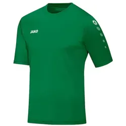 Jako Fußballtrikot Team KA Trikot (1-tlg) default grün S