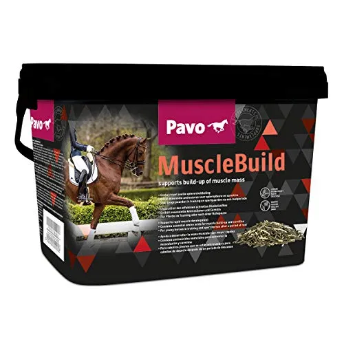 Pavo MuscleBuild | Für ein starkes und muskulöses Pferd | 3 KG