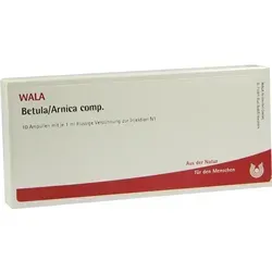 Betula/Arnica Ampullen 10X1 ml - Praktische Ampullen für die Unterstützung der Pflege, ideal für den täglichen Einsatz, jetzt günstig bestellen!