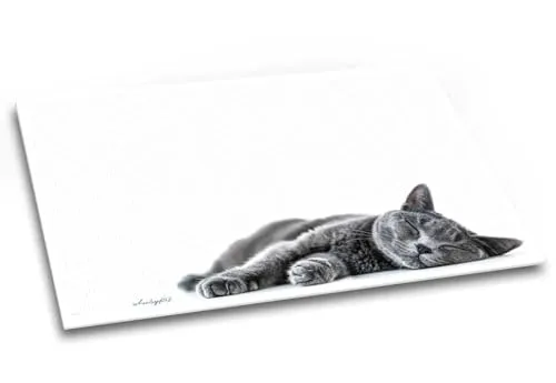 Samtpfote - Schreibtischunterlage Katze weiß grau kariert beschreibbar Schreibunterlage Papier DIN A2 40 Blatt