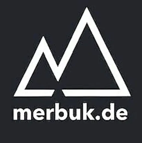 Drive Bendix für Lichtmaschinen, ersetzt 16901752, 72738419, MSX667, ZEN1951 - Lichtmaschinen- & Generatorteile, hochwertiger Drive Bendix mit 2 Jahren Herstellergarantie für zuverlässige Motorleistung und einfache Installation.