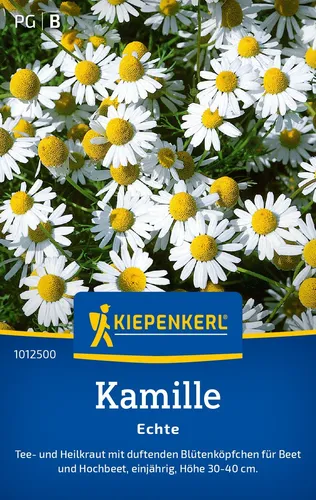 Kamille Echte  für Tee Salben u. Umschläge Stauden ca. 200 Samen 1012500