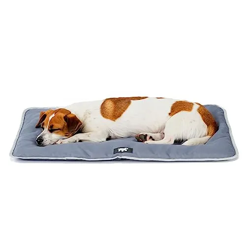 FERPLAST - Tappetino per Cani e Gatti - Cuccia per Cani Lavabile Piccola - Materassino per Cani - Impermeabile e Antigraffio - Tappetino per Auto, Cucce e Cestini per Cani - Jolly, 65 x 48 CM, GRIGIO