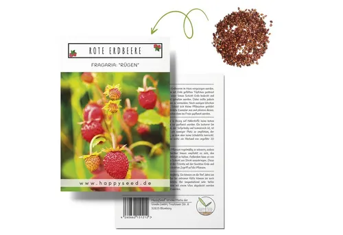 HappySeed Blumensamen Erdbeeren Samen - Fragaria, Blumen