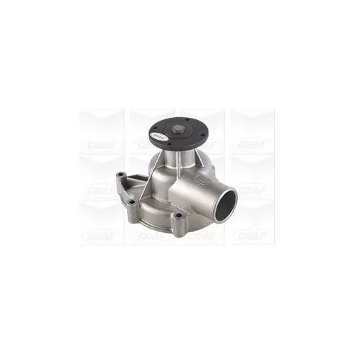 Graf Wasserpumpe PA379 - Effiziente Wasserpumpe für Bewässerungssysteme, ideal für den Einsatz im Garten. Robuste Bauweise sorgt für langlebige Leistung.