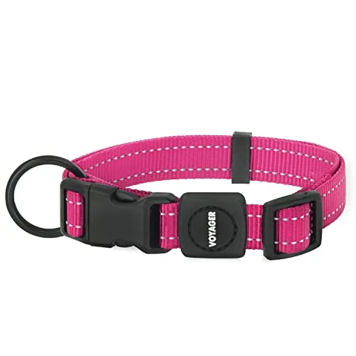 Best Pet Supplies Reflektierendes Hundehalsband mit Verstellbarer Länge, robuste Schnalle und starkem D-Ring für Leine, Training, Walking, Joggen für kleine, mittelgroße und große Rassen, Fuchsia, S