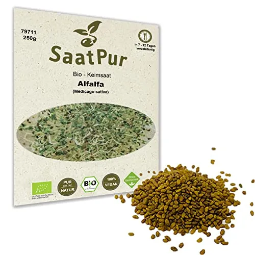 250g BIO Keimsprossen Alfalfa Samen Keimling Sprossen Mikrogrün Microgreens Sprossenanzucht