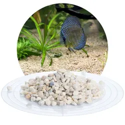 Schicker Mineral Aquariumkies beige 5,6-8,0 mm - 25 kg Sack - Hochwertiger Naturkies für Aquarien, ideal für Aquascaping. Er sorgt für optimale Bedingungen und ist vielseitig einsetzbar – sowohl in Süß- als auch in Meerwasserbecken.