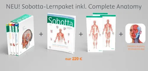 Sobotta Atlas der Anatomie, 3 Bände + Lerntabellen + Poster Collection - Medizinstudium mit 6-monatigem Zugang zur Complete Anatomy-App für interaktive Anatomie-Übungen und vertieftes Lernen.