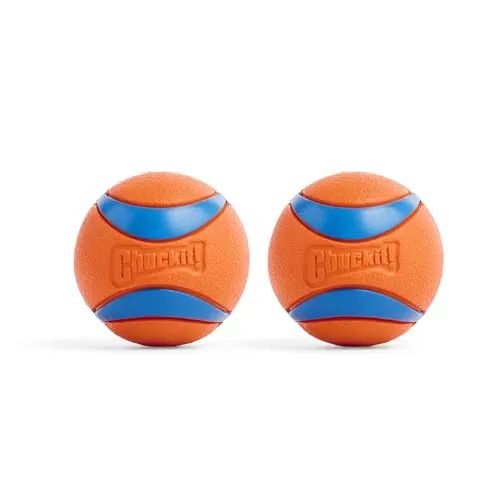 Chuckit! Ultra Ball Medium - 2er Pack Multicolor - Hochwertiger Jagdball für Hunde: Der Chuckit! Ultra Ball Medium überzeugt durch seine Sprungkraft und Sichtbarkeit. Ideal für spannende Spiele an Land und im Wasser, fördert er die Bindung zwischen Ihnen und Ihrem Hund.