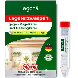 Lagererzwespen zur Bekämpfung von Kugelkäfern & Messingkäfern - Effektives Mittel zur Unterstützung der Schädlingsbekämpfung, natürlich und umweltfreundlich, ideal für den Einsatz im Garten.