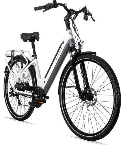 bergsteiger E-Bike Cityrad Hampton 28 Zoll - E-Bike für Damen und Herren mit 250 Watt Heckmotor, 6 Gängen und hydraulischen Tektro Scheibenbremsen. Ideal für den Stadtverkehr, ausgestattet mit Farbdisplay und leuchtstarkem Licht.
