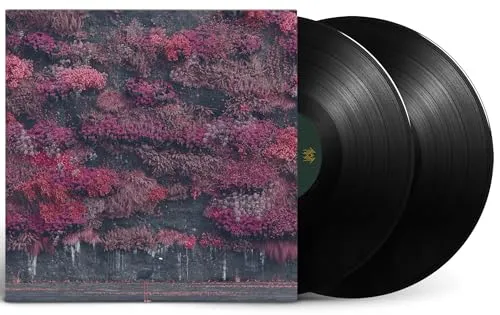 Even in Arcadia (Opaque Black) [Vinyl LP] - Alternative & Indie Vinyl-Edition, hochwertige Pressung für ein erstklassiges Klangerlebnis und Sammlerstück für Musikliebhaber.