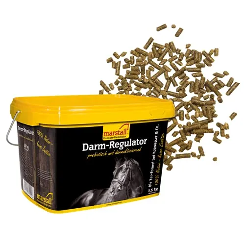 marstall Premium-Pferdefutter Darm-Regulator 3,5 kg - Hochwertiges Pferdefutter mit über 50% darmpflegenden Faserstoffen. Unterstützt die Darmflora und sorgt für ein ausgewogenes Darmmilieu. Ideal für die tägliche Fütterung.