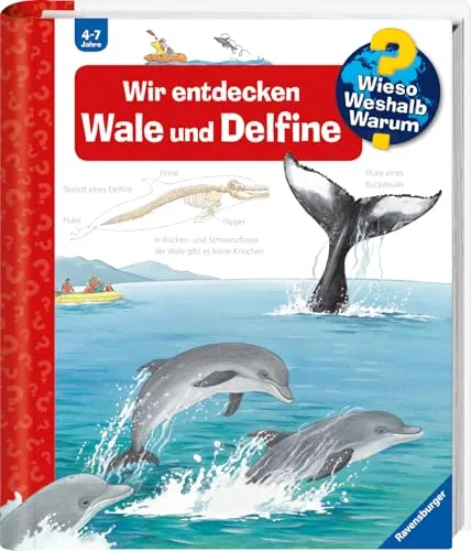 Wieso? Weshalb? Warum?, Band 41 - Wir entdecken Wale und Delfine (Sachbuch ab 4 Jahre - mit Klappen) (Kernreihe, 41)