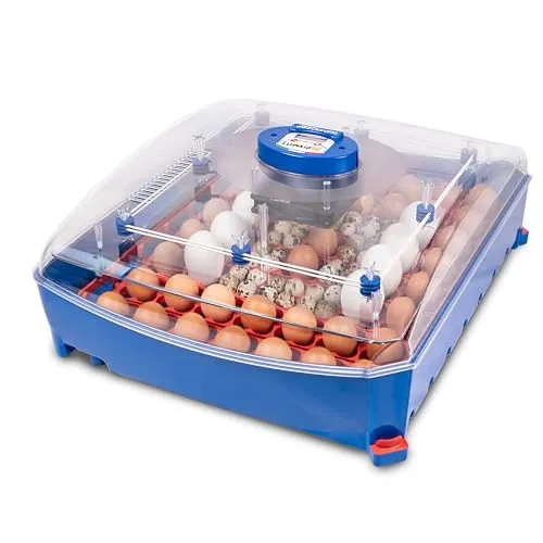 Borotto Lumia 56 Inkubator - Vollautomatischer Inkubator für bis zu 56 Eier, ideal für Hobby- und Profi-Züchter mit präziser Temperaturregelung für optimale Brutbedingungen.