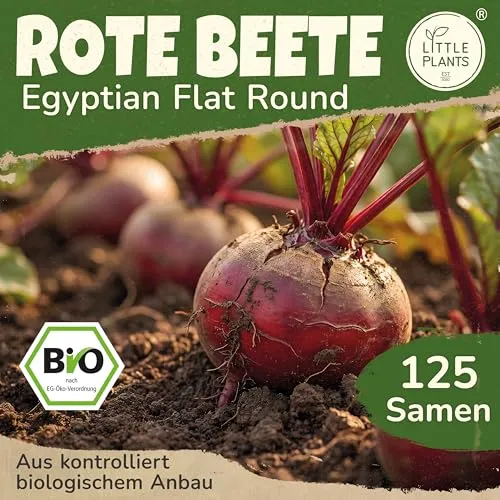 Little Plants BIO Rote Beete Samen 125 Rote Bete Samen Egyptian Flat Round Gemüsesamen für Gemüsegarten Samenfest Gemüse Samen für Küche, Balkon und Garten