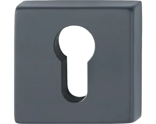 Rosettenpaar AnsaPro Thelon PZ eckig 53x53 mm schwarz matt
