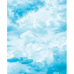 Komar Vliestapete Himmelszelt - 200 x 250 cm - Fototapete mit fotorealistischen Naturmotiven, ideal für Wohnzimmer oder Schlafzimmer. Dimensionsstabil, geruchsneutral und lichtbeständig für eine traumhafte Wandgestaltung.