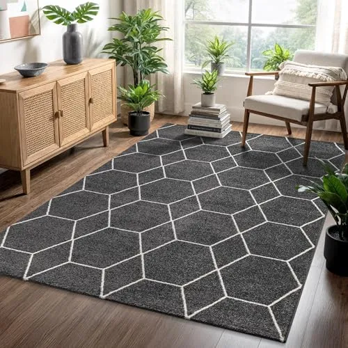 SANAT Wohnzimmerteppich – Pflegeleicht, Dunkelgrau, 200 x 290 cm - Vielseitiger Flächenteppich mit modernem Trellis-Muster, ideal für jeden Raum. Pflegeleicht und robust, sorgt er für eine gemütliche Atmosphäre in Ihrem Zuhause.