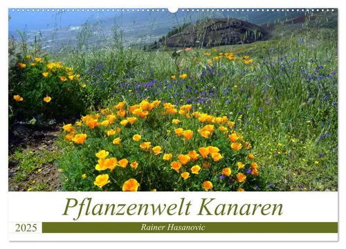 ©. www. teneriffaurlaub. es by Rainer Hasanovic | Pflanzenwelt Kanaren...
