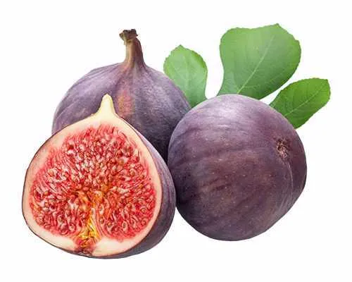 Feige 'Brown Turkey' – Ficus Carica, winterhart mit essbaren Früchten - Blumen & Stauden – Robuste, selbstfruchtende Feige mit süßen, saftigen Früchten und Winterhärte bis -15 °C, ideal für Garten und Balkon.