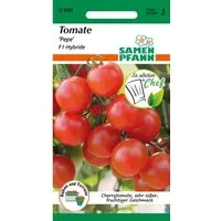 SAMEN PFANN Tomate Pepe F1 Cherry-Tomate