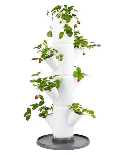 Sissi Strawberry (Starter, weiß) - Vertikales Pflanzsystem für Erdbeeren, ideal für Balkon, Garten und Terrasse, einfaches Pflanzen und Ernten