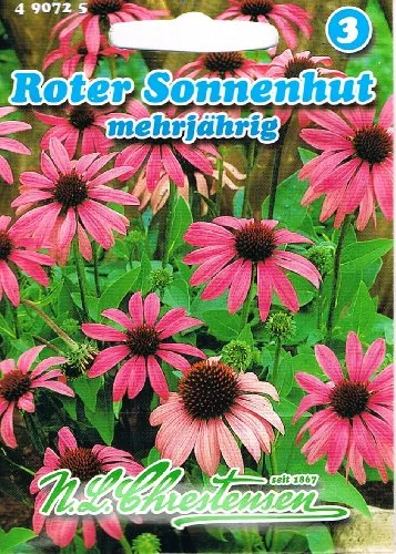 Roter Sonnenhut (Portion) (Echinacea purpurea), mehrjährig