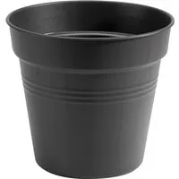 Elho Anzuchttopf Green Basics Ø 24 cm,iving schwarz