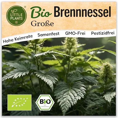 Little Plants BIO Brennnessel Samen 2500 Große Brennnesselsamen Kräutersamen Samenfest für Kräutergarten Kräuter Samen für Balkon, Hochbeet und Garten