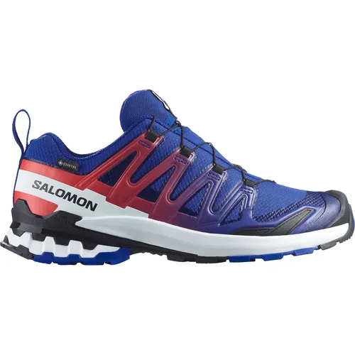 Salomon XA Pro 3D V9 GTX Equipe Herren Traillaufschuhe - Hochklassiger Traillaufschuh mit wasserdichter GORE-TEX Membran für optimalen Schutz und Komfort auf anspruchsvollem Terrain. Ideal für Trailrunning und Outdoor-Aktivitäten.
